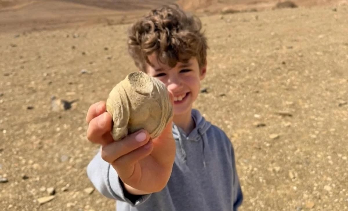 Ancient carved stone fragment showing draped figure held by archaeologist in desert setting