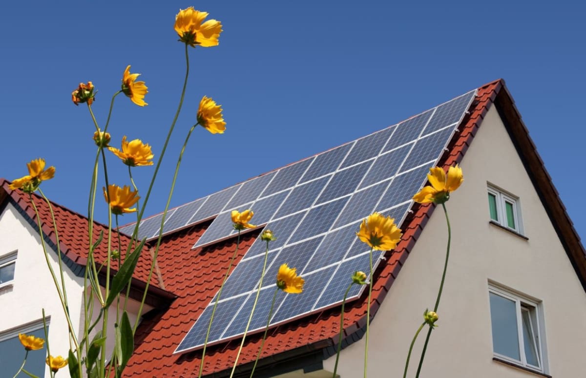 Solar Overtakes Coal in US Energy Mix for First Time - Image 2