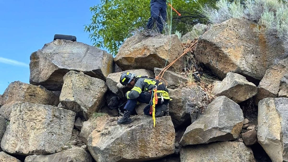 Black dog Maverick being rescued by firefighters from narrow cliff ledge in Bend Oregon