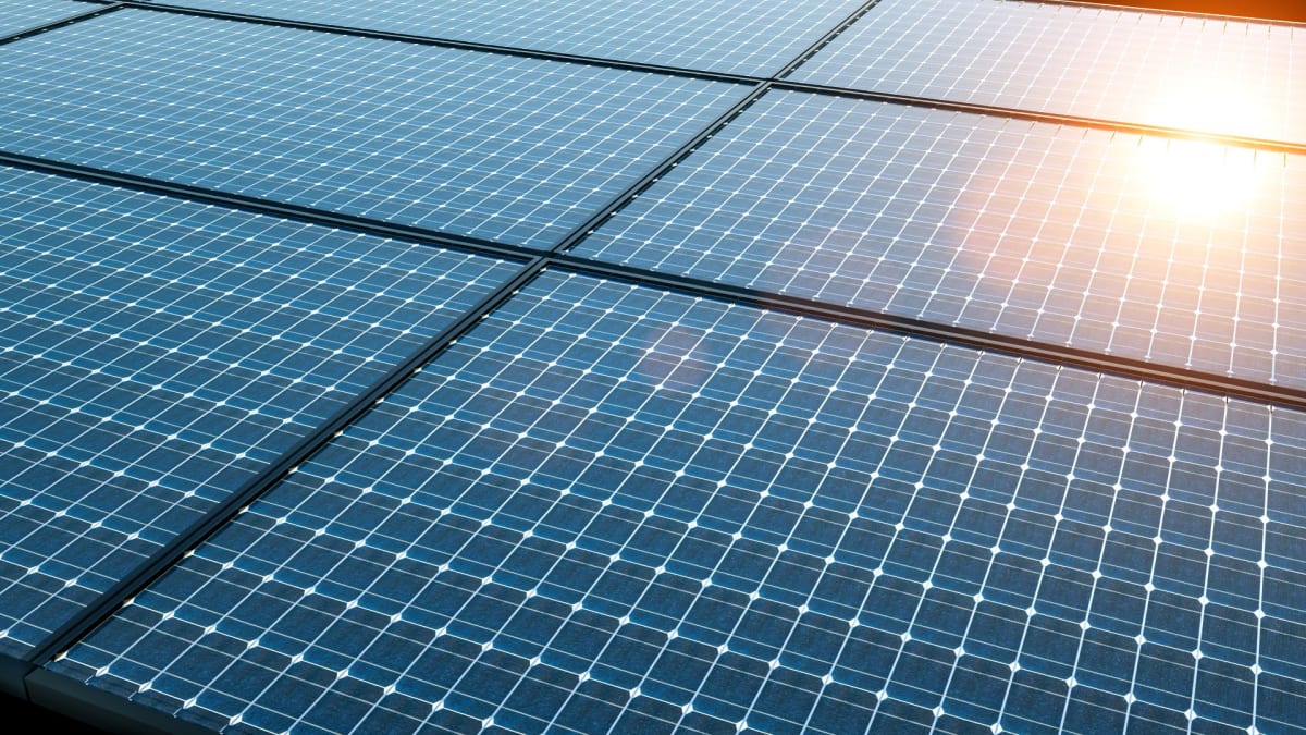 Flexible transparent solar panel prototype being held up to sunlight in research laboratory
