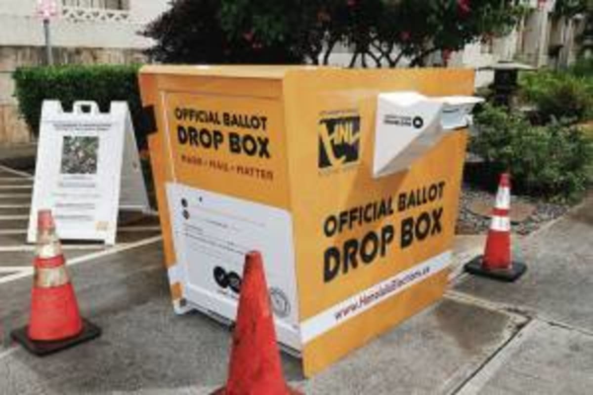 Hawaii Court Protects Rare Bees, Pauses Resort Build - Image 2