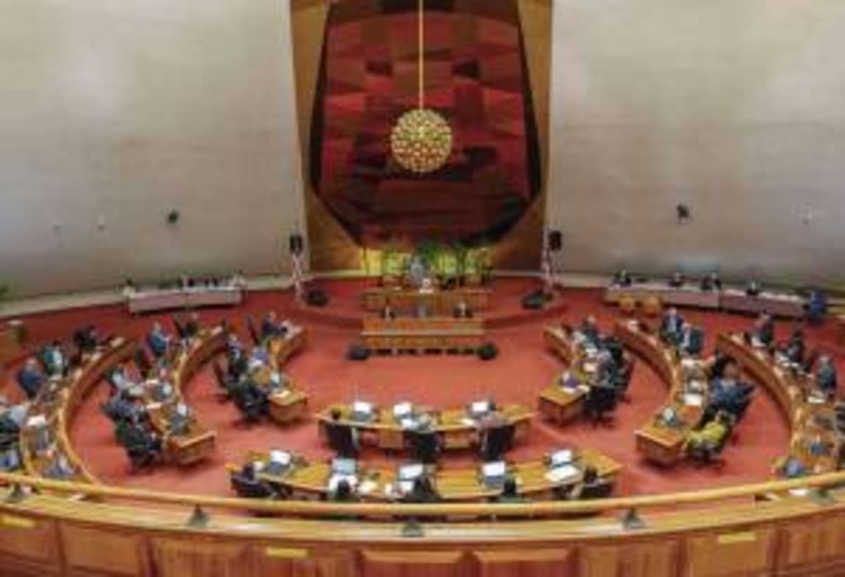 Hawaii Court Protects Rare Bees, Pauses Resort Build - Image 3