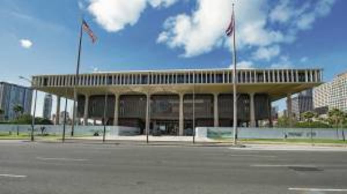 Hawaii Court Protects Rare Bees, Pauses Resort Build - Image 4