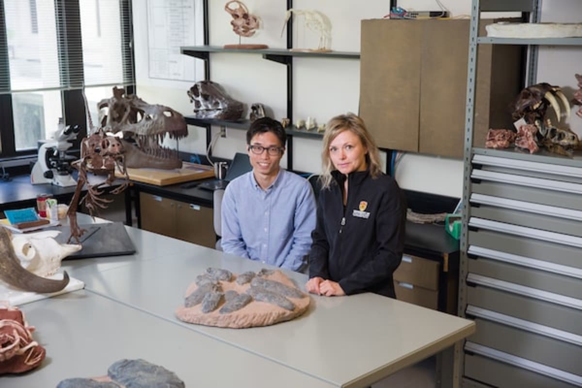 Giant Dinosaurs Nested 300 Miles Further South Than Known - Image 3