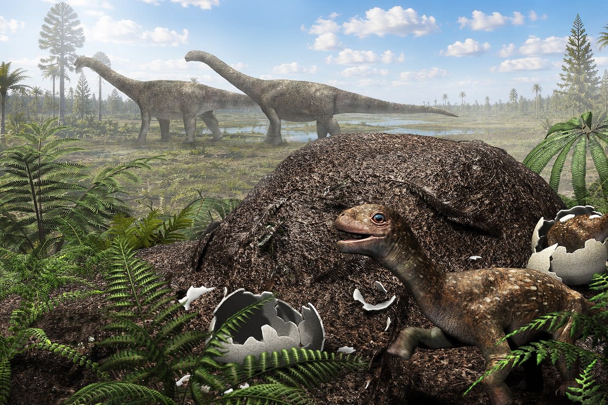 Giant Dinosaurs Nested 300 Miles Further South Than Known