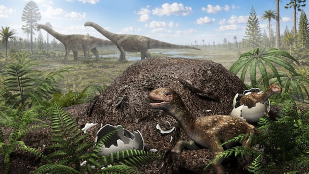 Giant Dinosaurs Nested 300 Miles Further South Than Known - Image 2