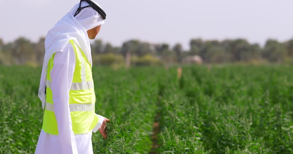 UAE and Gates Foundation Partner on $200M AI Initiative