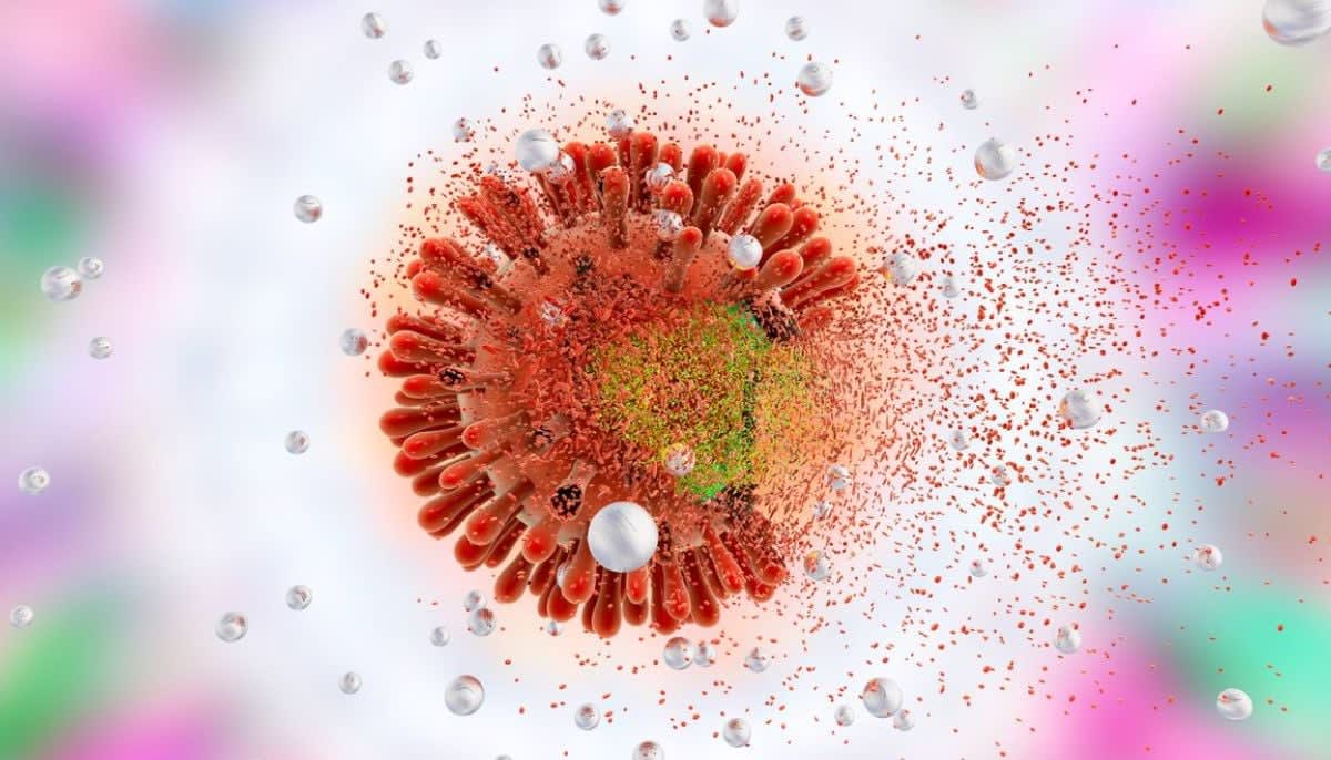 Microscopic view of healthy immune cells representing breakthrough HIV remission through stem cell transplant