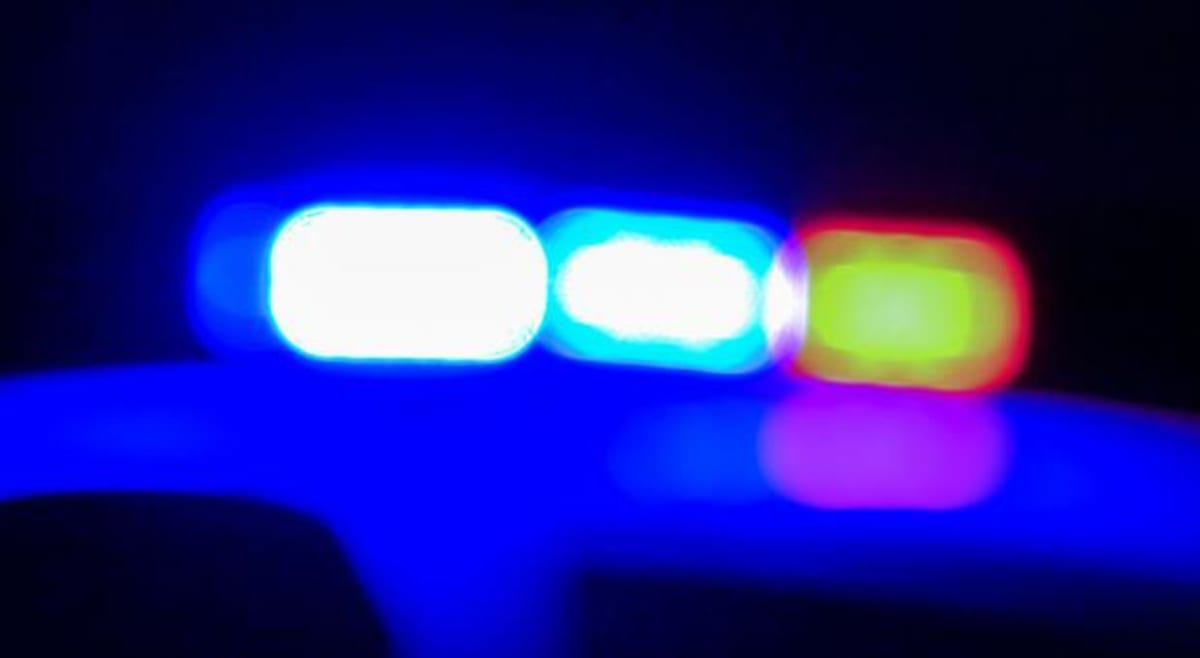 Winnetka Mother and Son Bring Books to Chicago Kids - Image 4