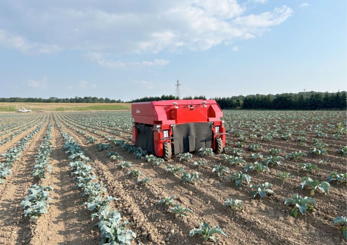 California Farm Opens 'Living Lab' for Ag Robot Startups - Image 5