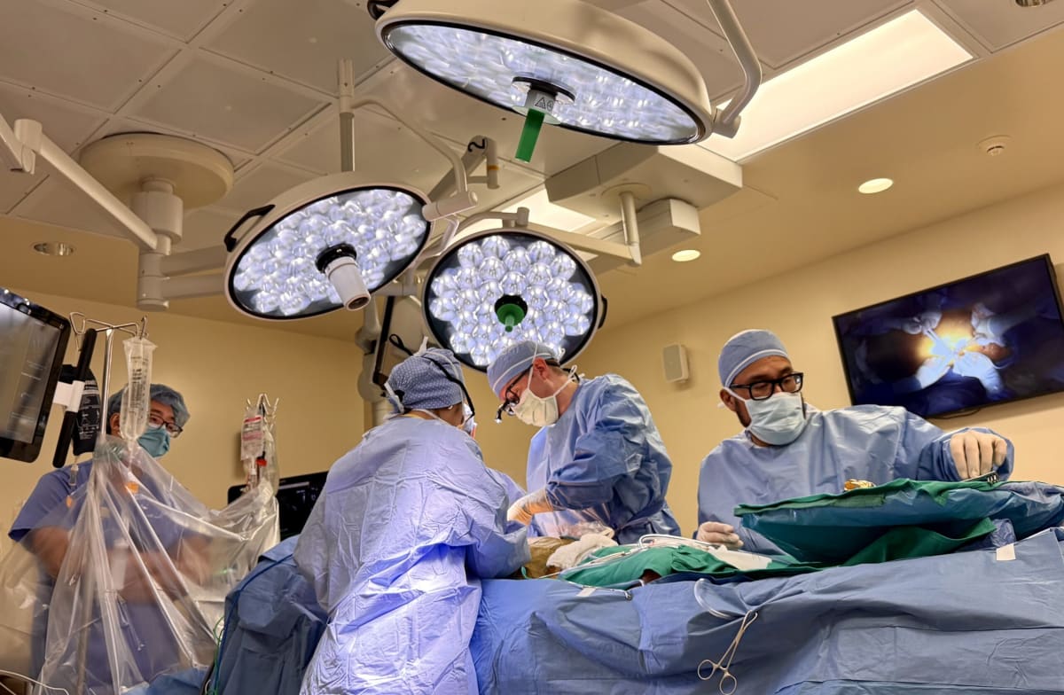 Robotic Heart Surgery Cuts Recovery Time by Half - Image 2