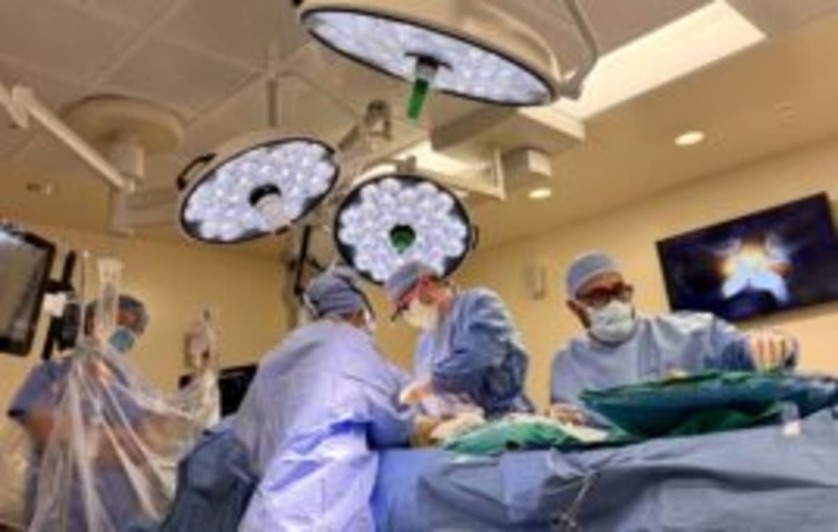 New Robot Makes Colonoscopy Easier and More Accurate - Image 3