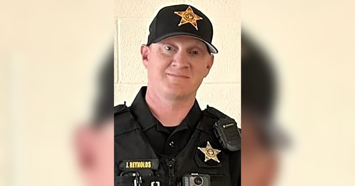 Police sergeant holding small rescued kittens near roadway in Wellston Ohio