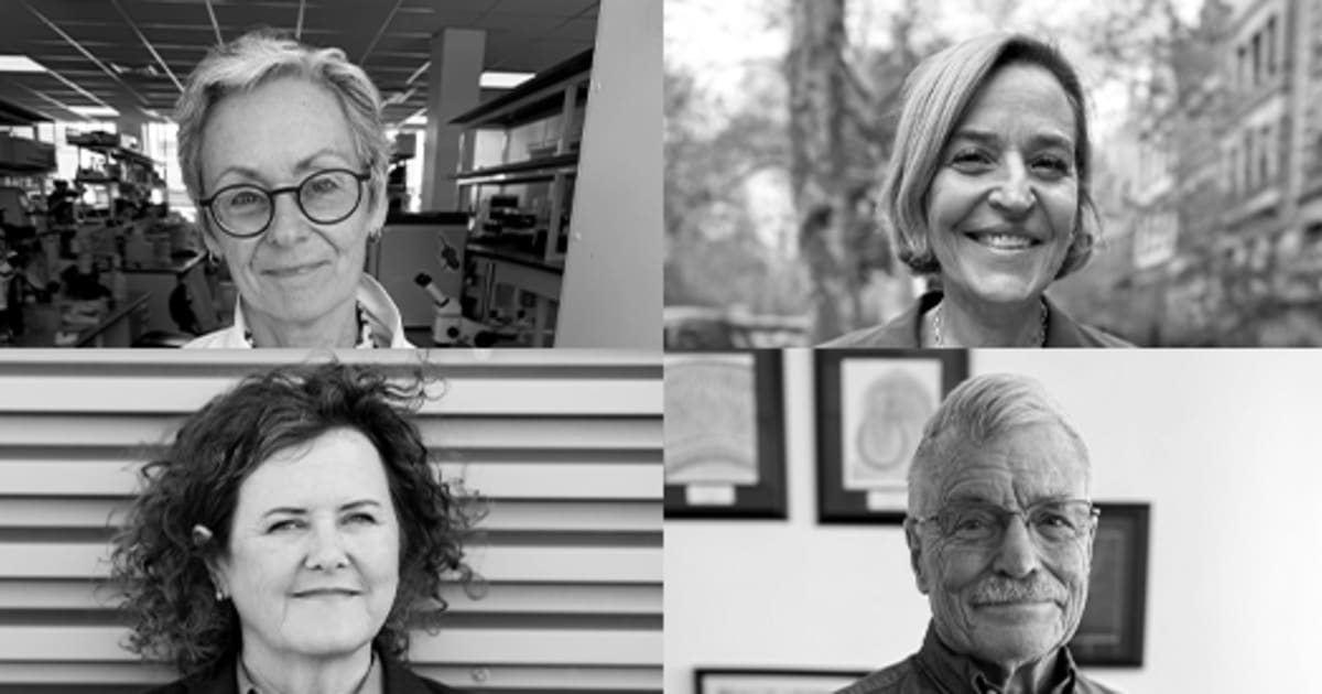 Four award-winning neuroscientists who discovered how brain cells make proteins locally