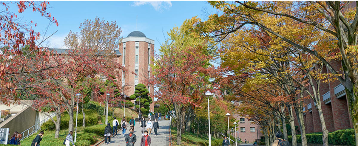 Japan University Welcomes World Students for Stronger Ed - Image 4