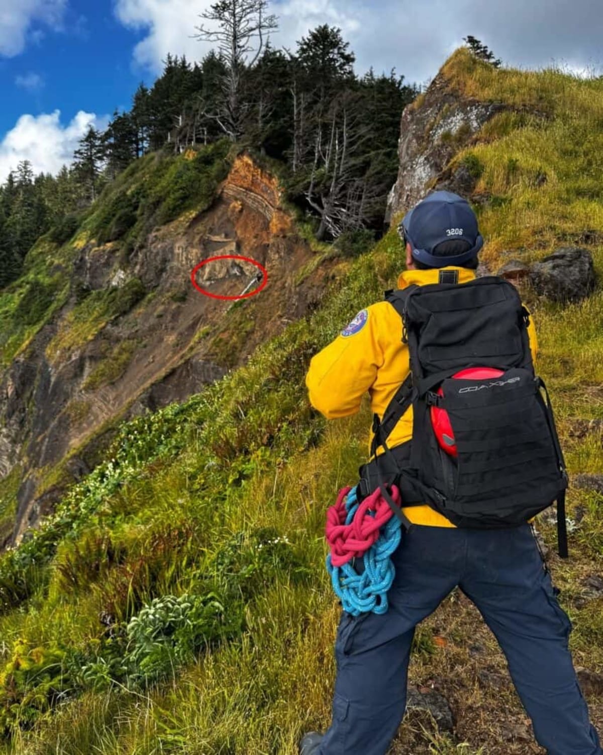 Rope Rescue Team Saves Dog Stranded 100 Feet Down Cliff - Image 2