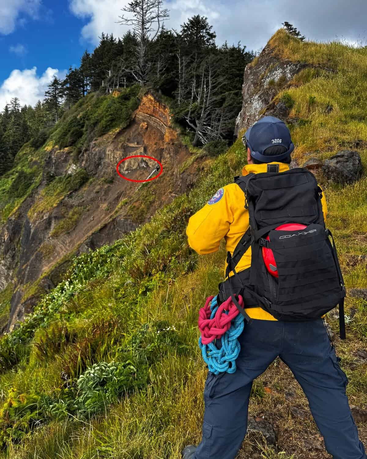 Rope Rescue Team Saves Dog Stranded 100 Feet Down Cliff