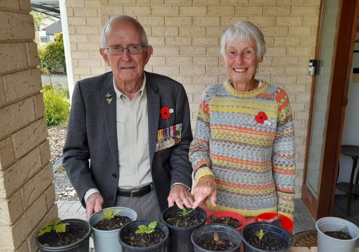 WWI Hero's Oak Trees Get New Life in New Zealand