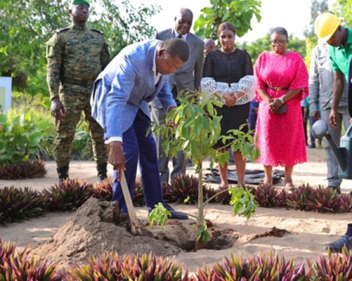 Togo's Billion-Tree Plan Enters June Planting Push