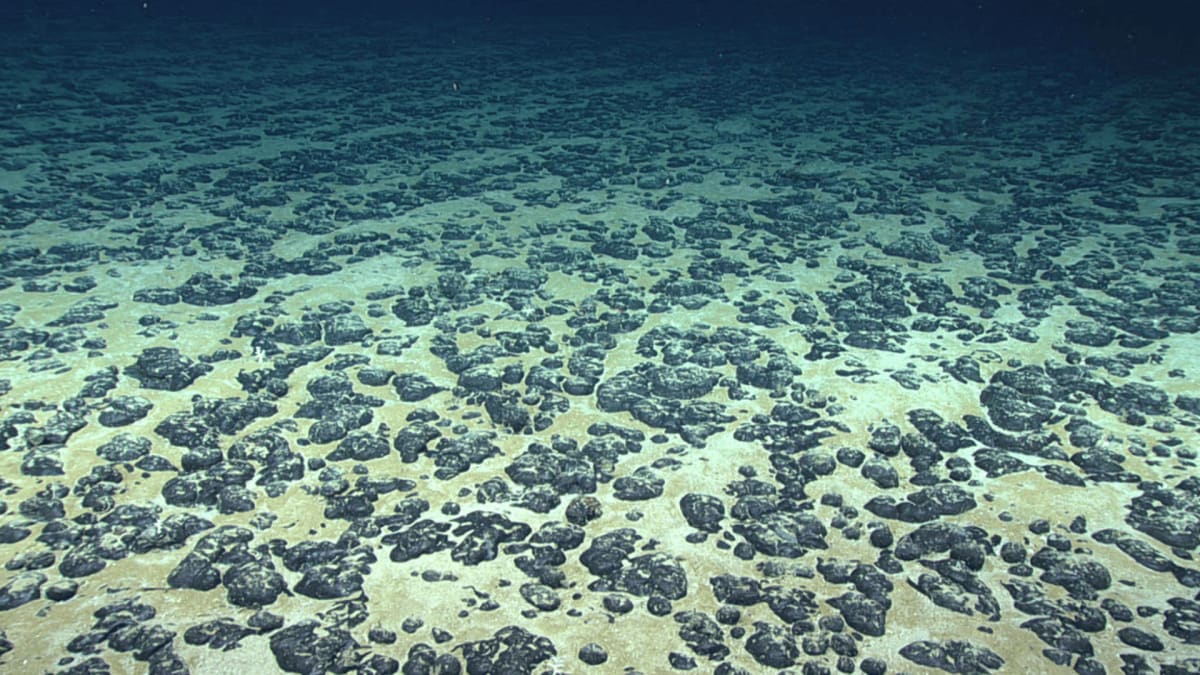 Deep-Sea Robots Gently Collect Minerals Without Harm