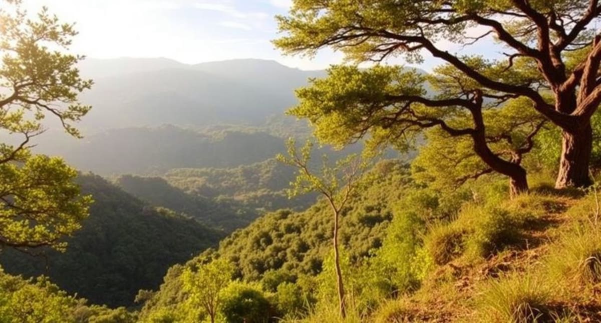 Ethiopia Celebrates 60 Years of Wildlife Conservation Wins