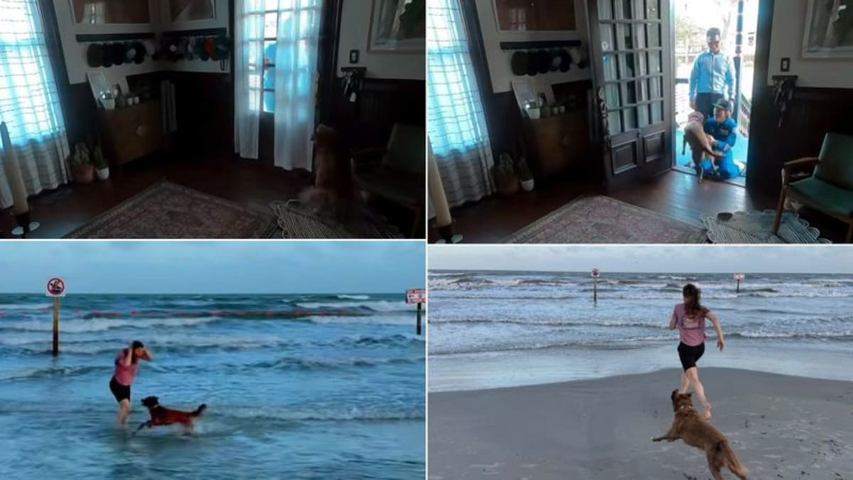 Astronaut Christina's Moon Mission Reunion with Dog Goes Viral