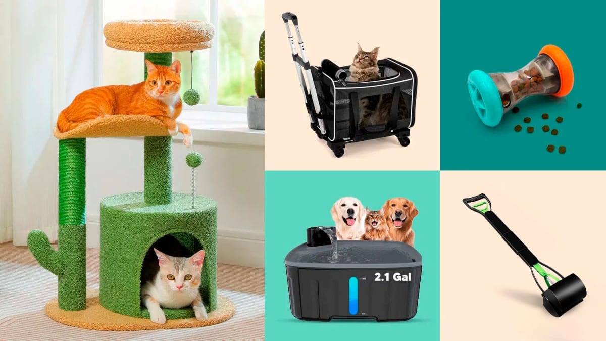 Evansville's Hope Dot Com Gets Boost from Local Business - Image 4