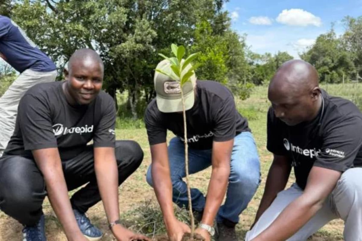 Kenya: Travelers Will Plant 20,000 Trees in Mau Forest