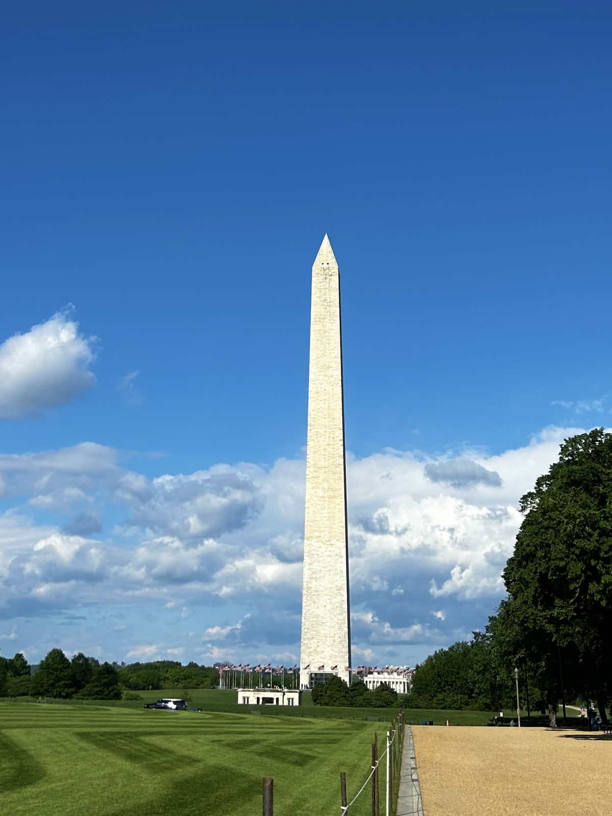 Solar panels installed on residential rooftop with blue sky during DC Climate Week celebration