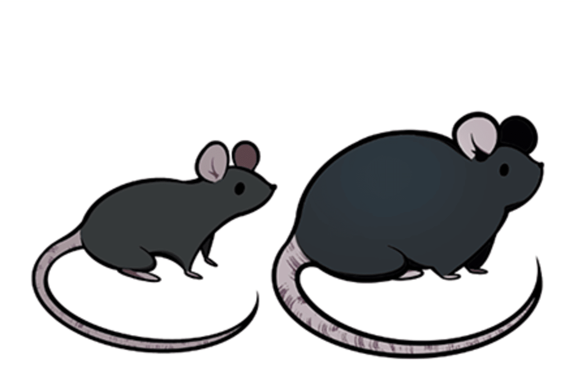 Japan Approves First Drug to Slow Rare Liver Disease - Image 4