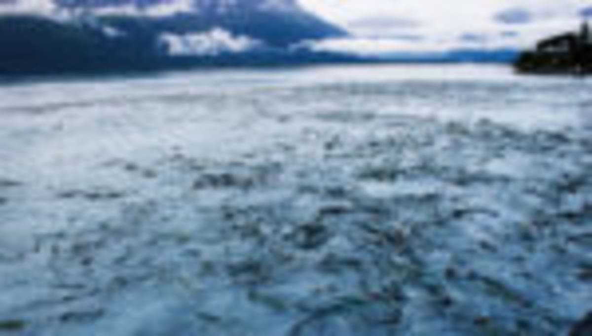 Coast Guard Credits Good Samaritans for Alaska Boat Rescue - Image 4