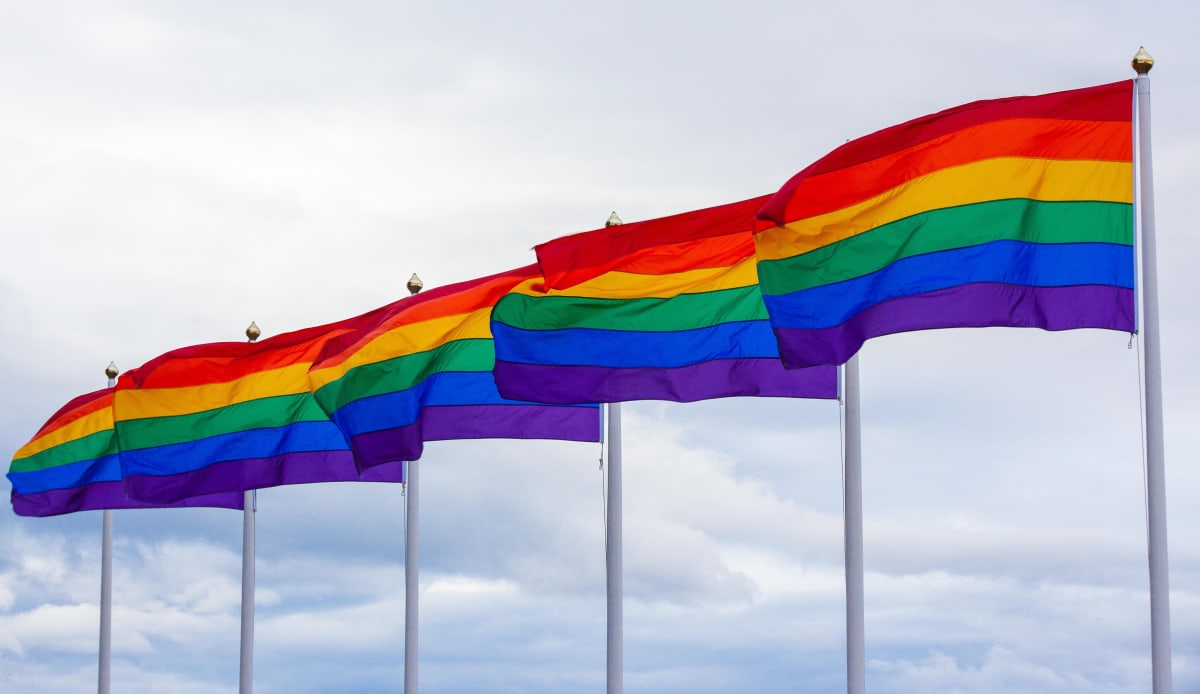 ** Large rainbow pride flags filling a residential backyard in peaceful protest