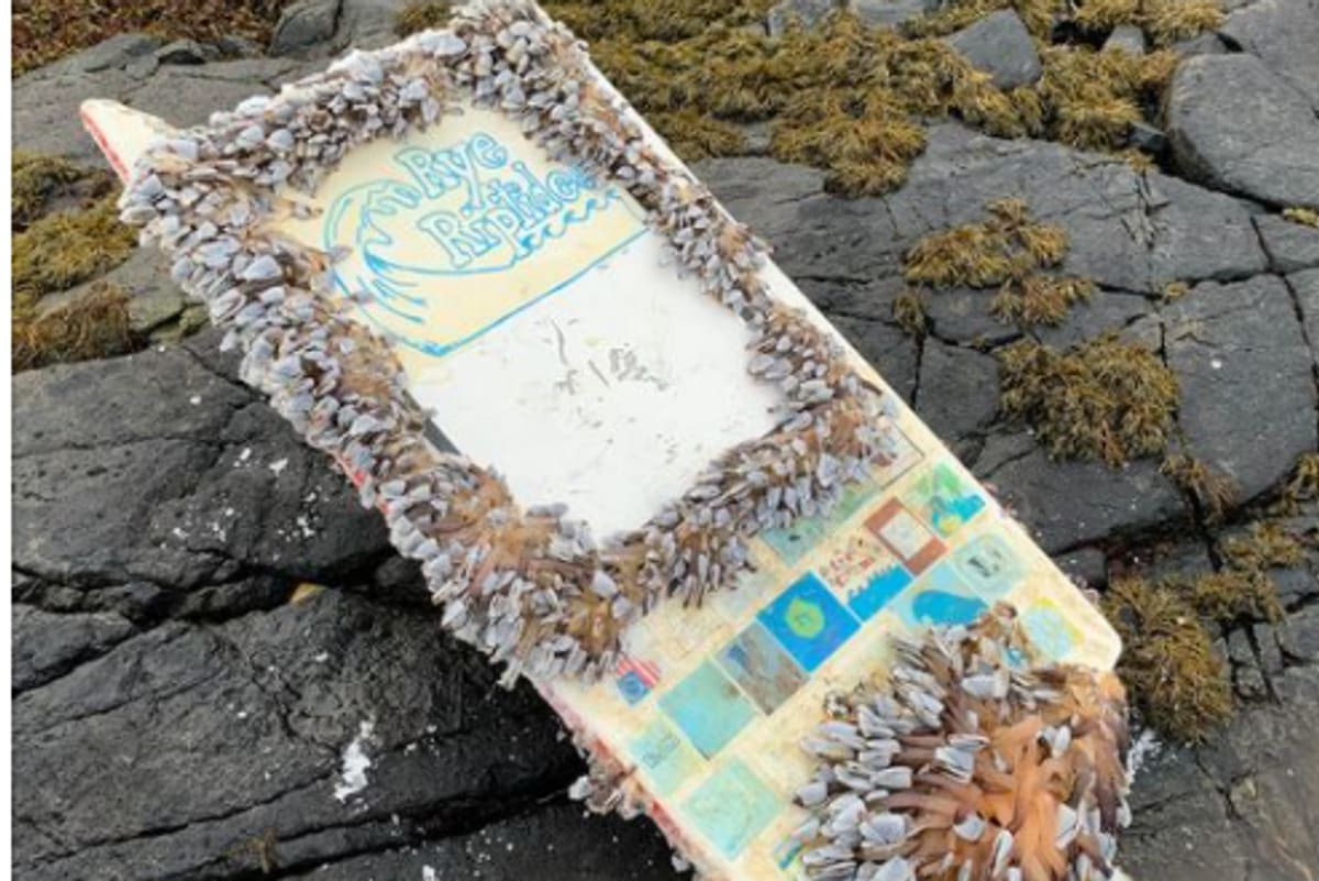 Small handmade boat covered in barnacles washed ashore on Norwegian beach after crossing Atlantic
