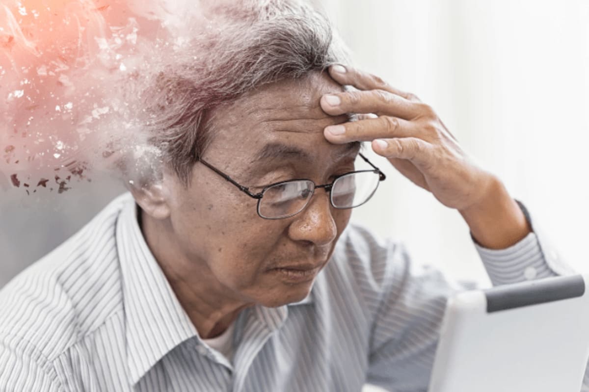 Scientists Reveal How to Recover Forgotten Memories - Image 3