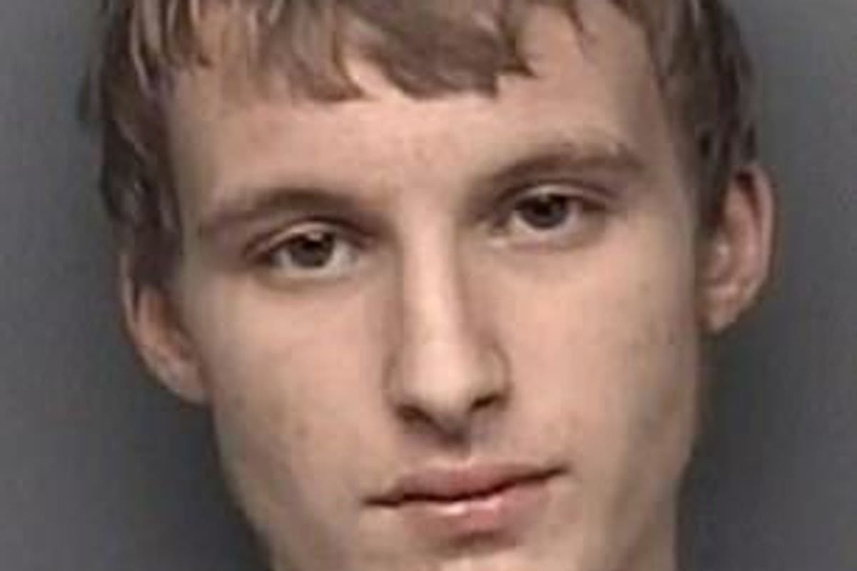 Texas Mom Tackles Peeping Tom Outside Daughter's Window - Image 4