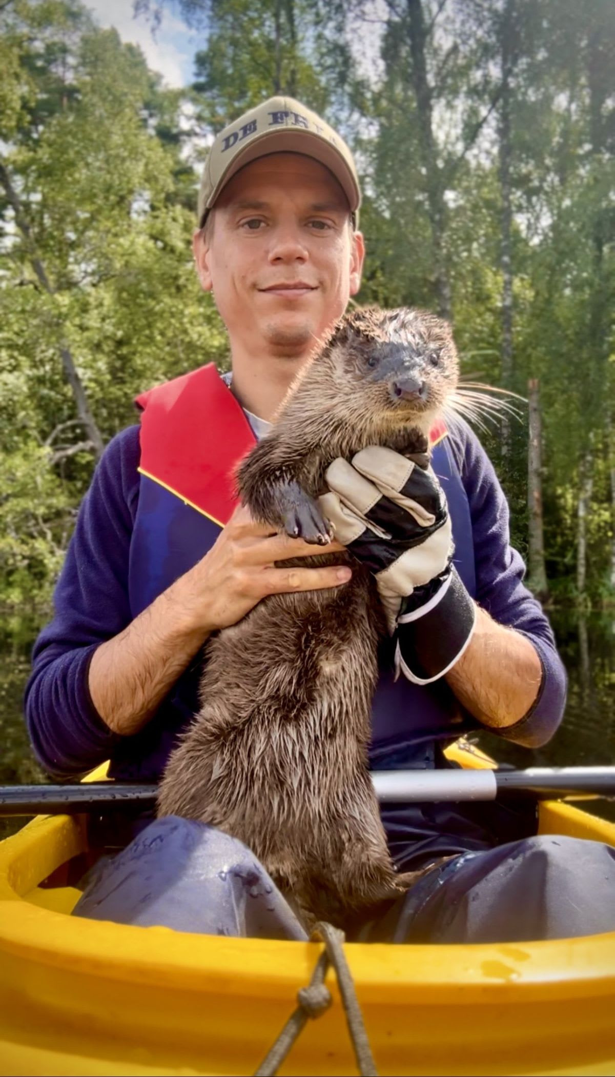 Swedish Man Rescues Orphaned Otter, She Returns for Cuddles - Image 4