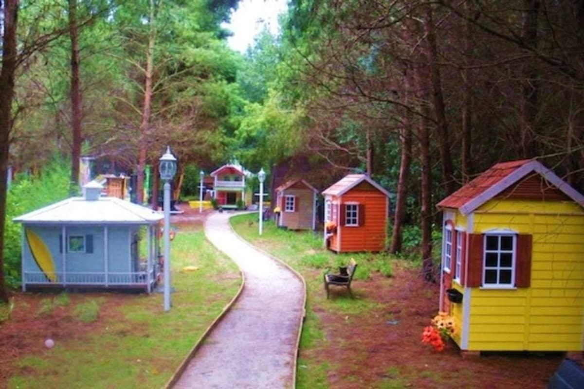 Elderly cats relaxing in cozy chalets at Shropshire Cat Rescue retirement village in England