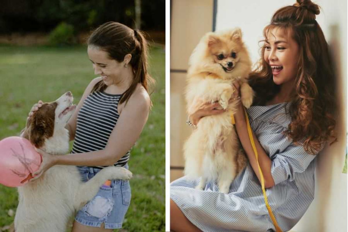 Scientists Reveal How Dogs Choose Their Favorite Person - Image 5