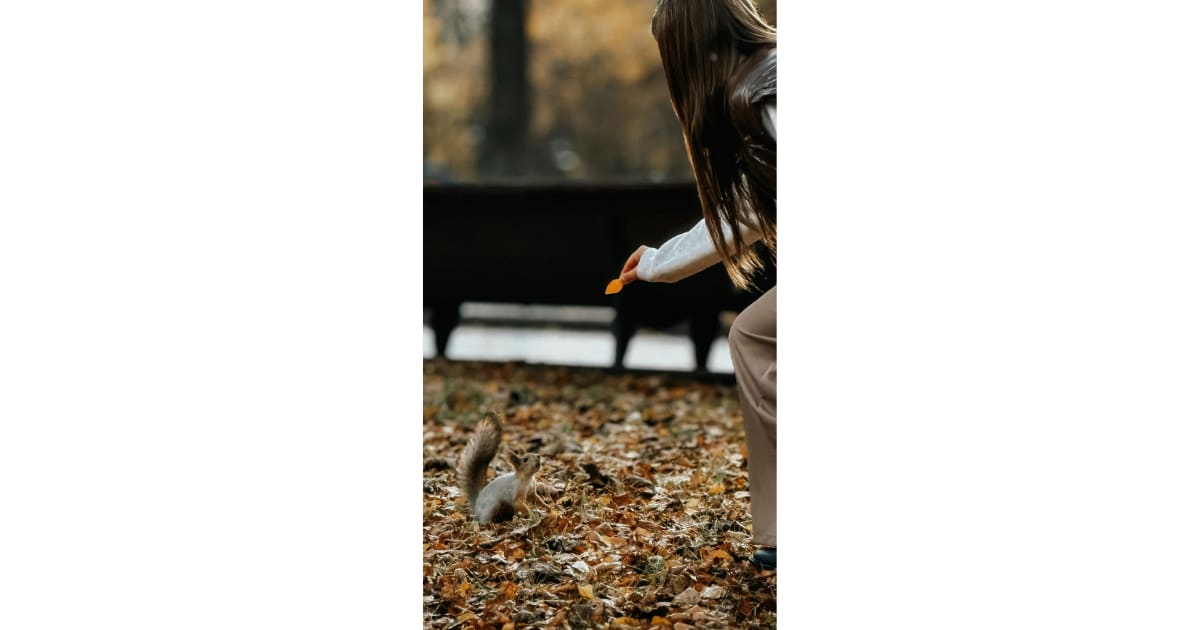 Squirrel Returns Daily Kindness With Cookie Gift