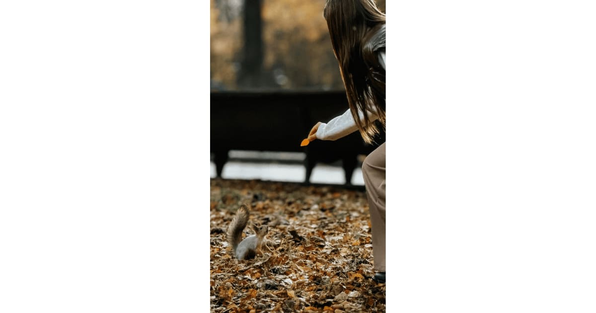 Squirrel Returns Daily Kindness With Cookie Gift - Image 2