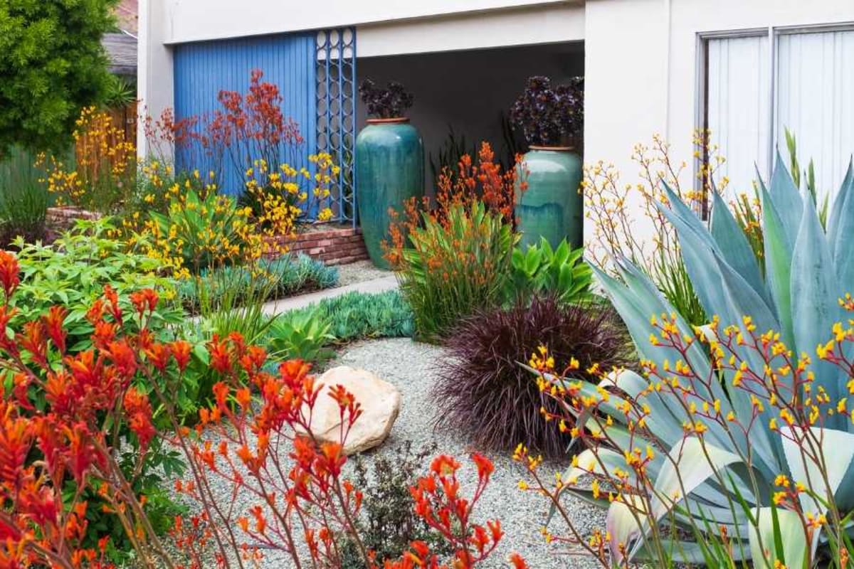 Mom and Daughter Turn Backyard Into Native Plant Paradise - Image 3