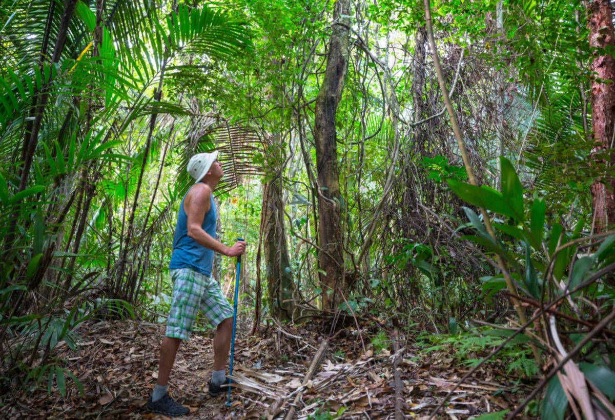 22-Year-Old Buys 7.5 Acres of Colombian Jungle for $40K - Image 3