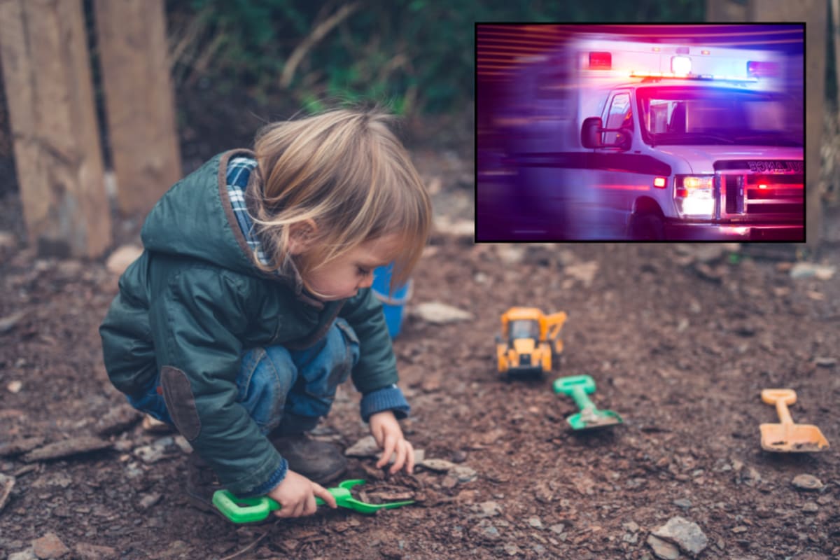 3-Year-Old Braves the Dark to Save Great-Grandma - Image 3