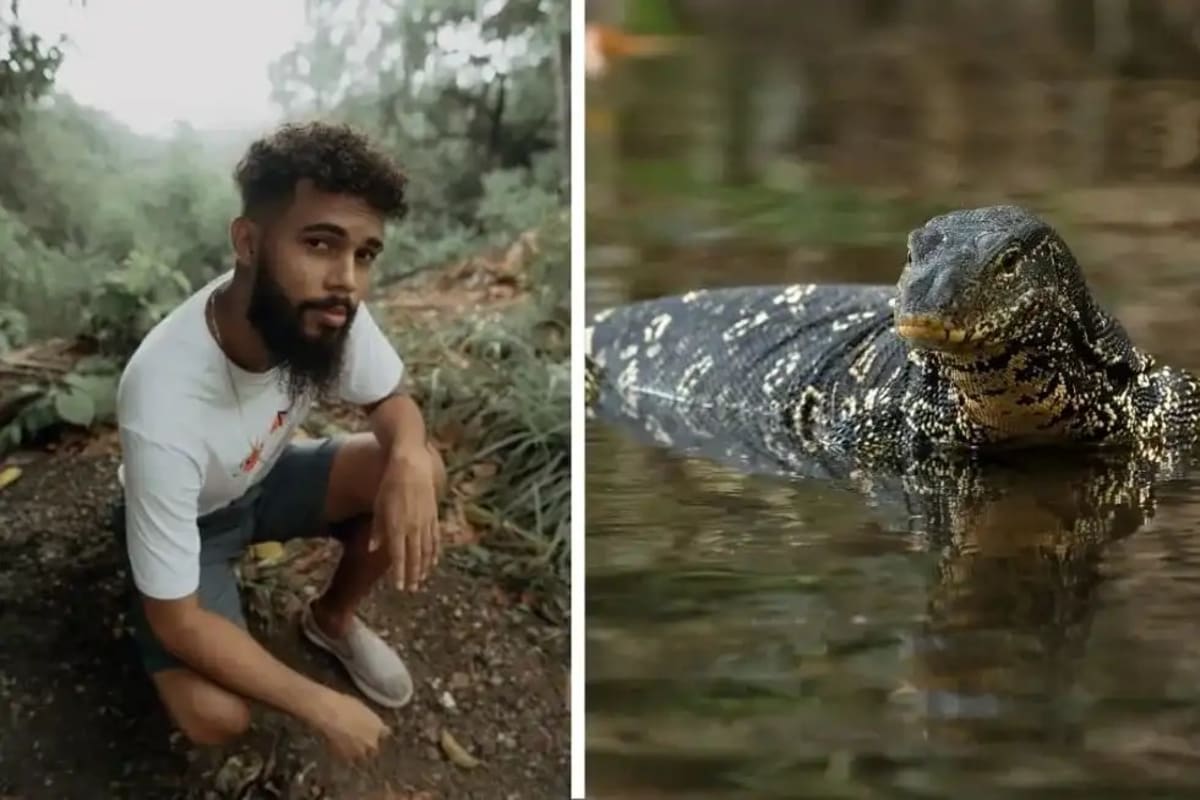 Man Digs Pond in Brazilian Forest, Wildlife Rushes In - Image 3