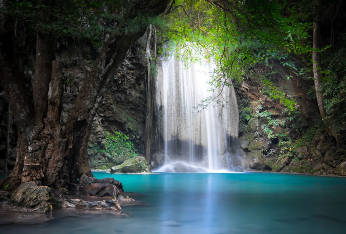 22-Year-Old Buys 7.5 Acres of Colombian Jungle for $40K - Image 4