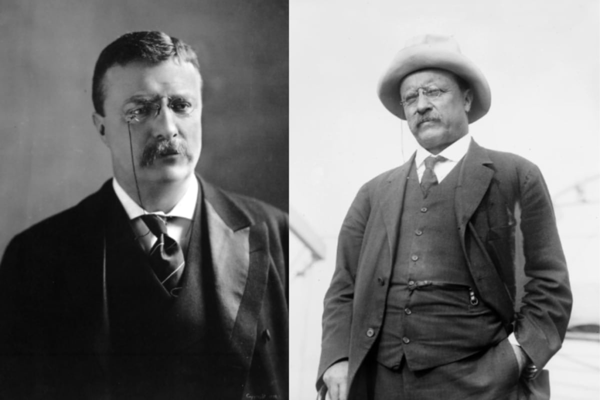 How Teddy Roosevelt Beat Depression After Losing Everything - Image 3