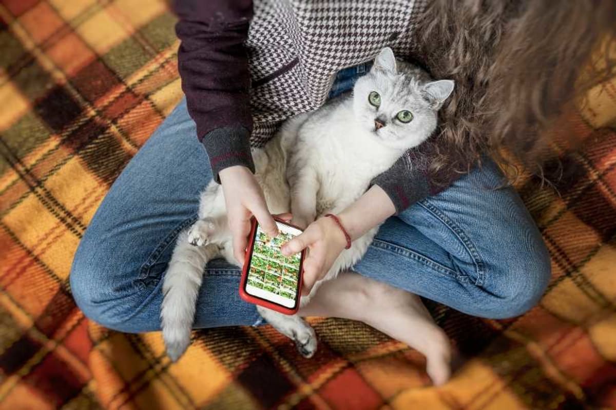 Vet Reveals 7 Signs Your Cat Loves You (Yes, Really) - Image 4