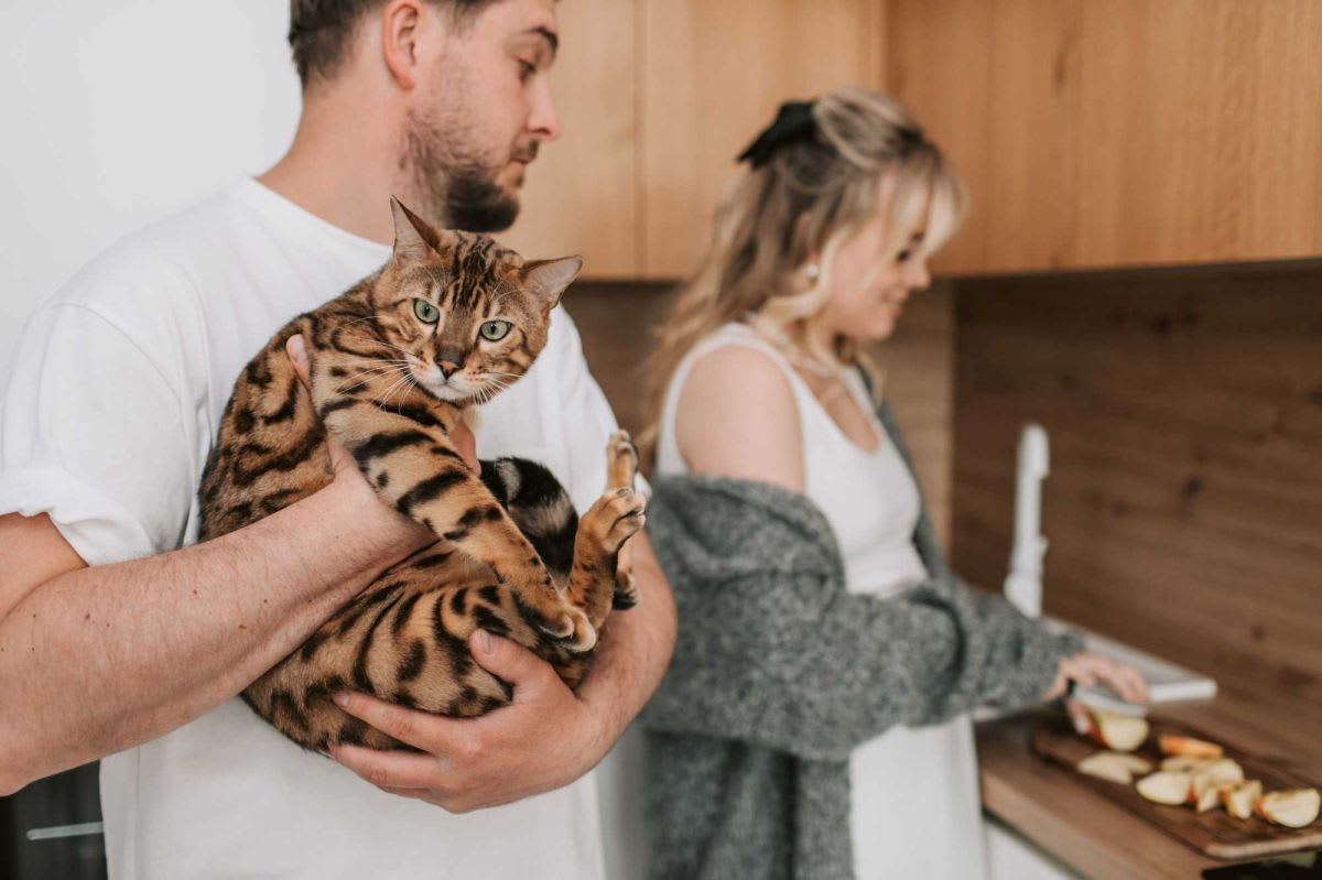 Vet's 'Squish That Cat' Video Hits 23M Views - Image 4