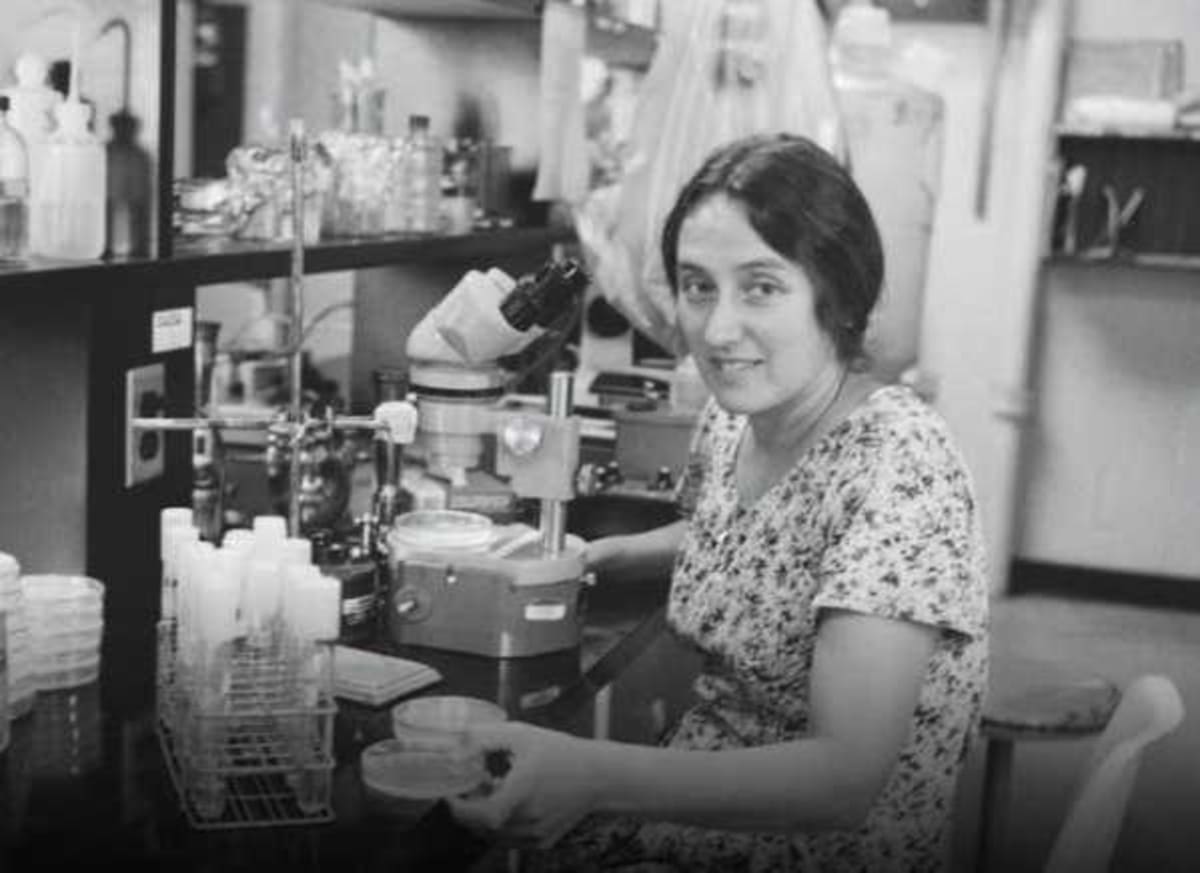 Biologist Rejected 15 Times Rewrites Origin of Life - Image 3