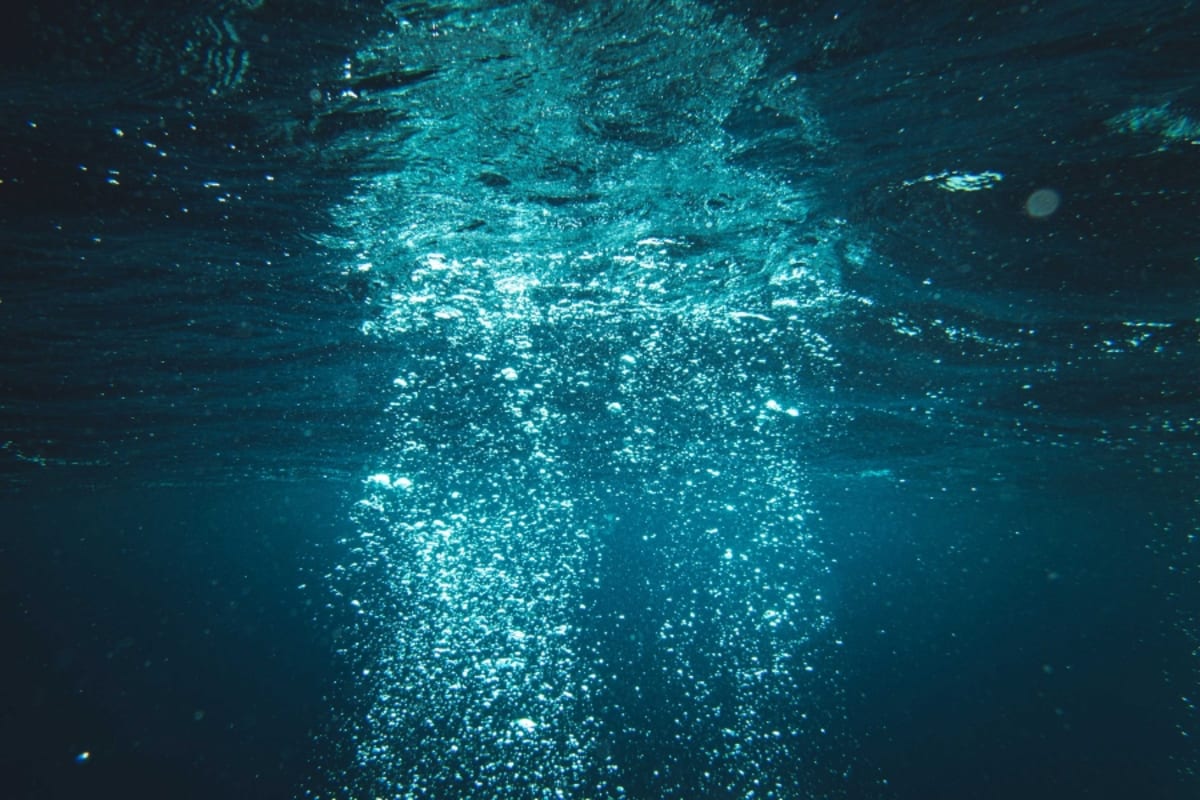 Piano + Glowing Algae = Music You Can See - Image 5